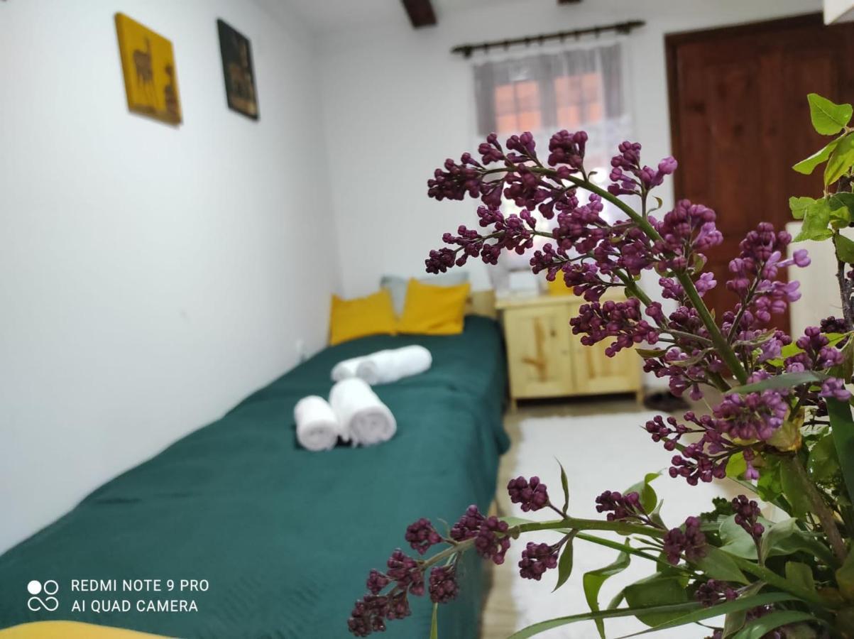Apartamento Mitrovic Boljevac Exterior foto